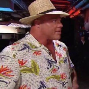 SURVIVOR SERIES UPS&DOWNS - (19-11-2018)