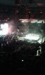 WWE : RISULTATI LIVE DAL PALALOTTOMATICA DI ROMA