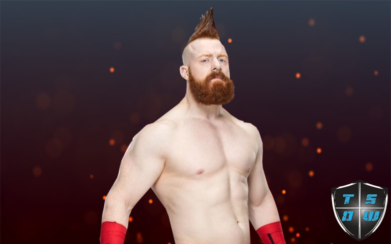 WWE | Sheamus pronto a tornare sul ring