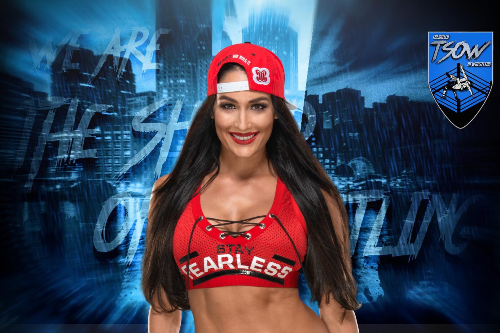 nikki bella The Shield Of Wrestling