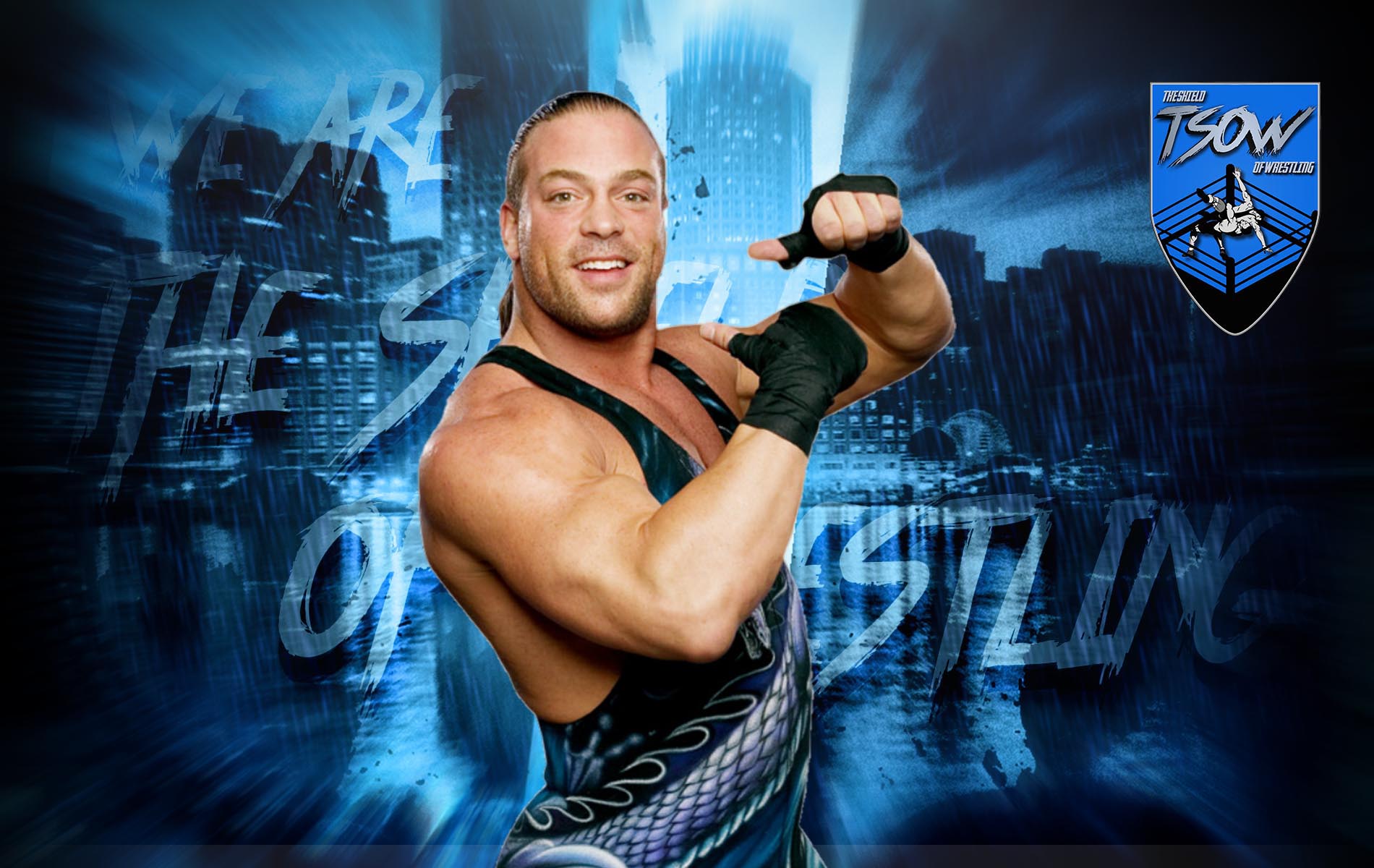 Rob van damme net worth