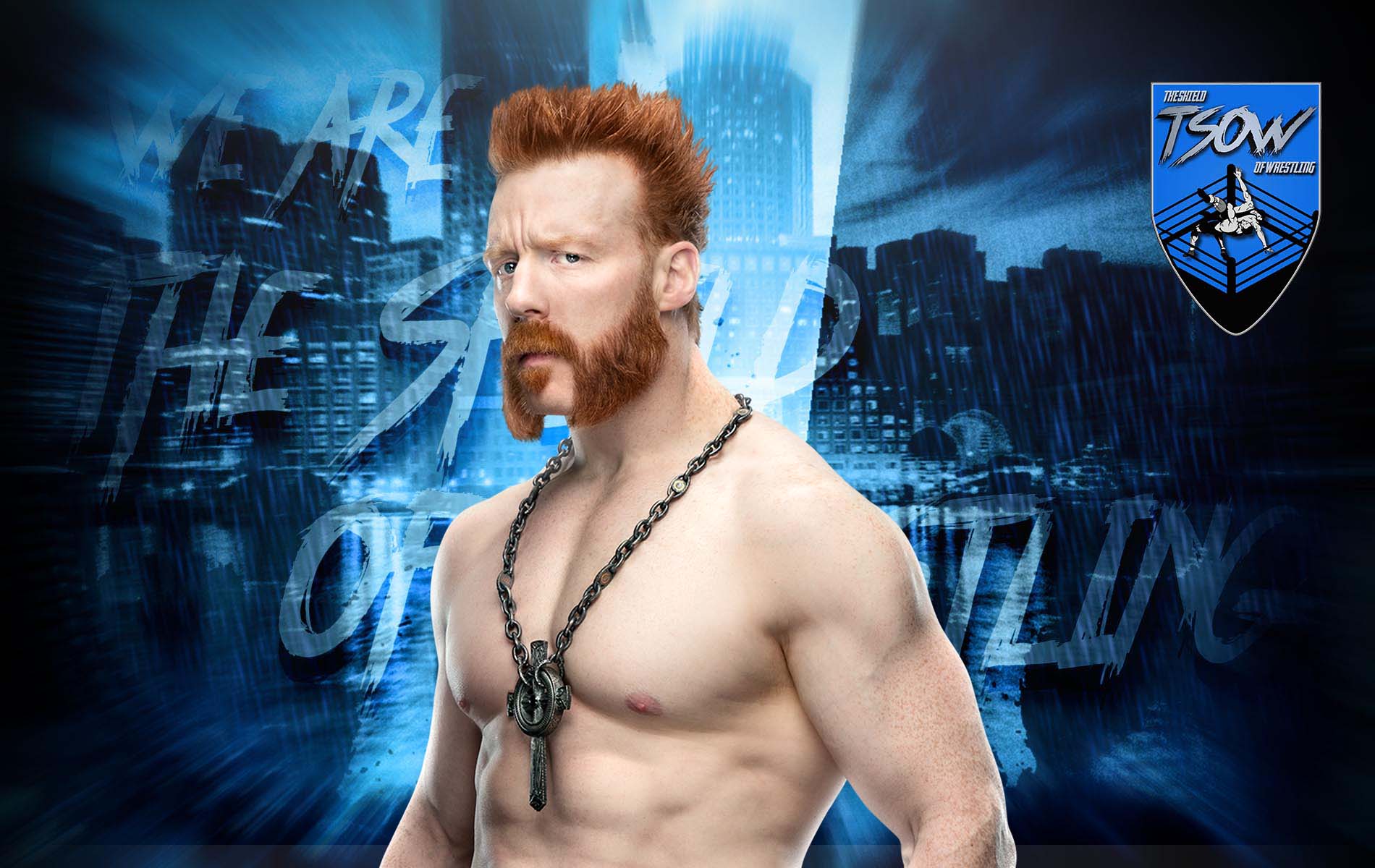 Sheamus – The Shield Of Wrestling